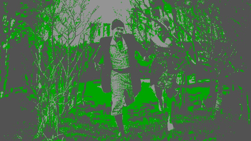 Correctly exposed frame in false color, green mid-tones with faces in green and light gray