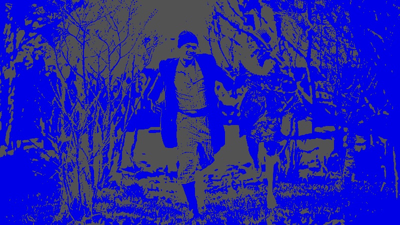 Underexposed frame in false color, mostly blue